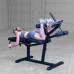 Body-Solid Seated Leg Extension & Supine Curl (GLCE365)