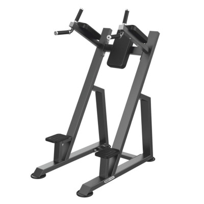 Evost A3047 Vertical Knee Up / Dip