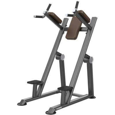 Evost U2047 Vertical Knee Up / Dip