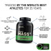 ON (Optimum Nutrition) Serious Mass